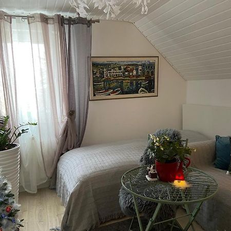 Ferienwohnung Pension Am Berg Villingen-Schwenningen Eksteriør billede